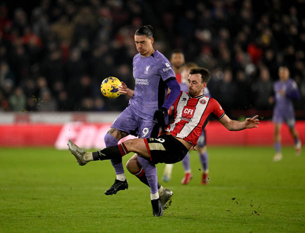 你要我帮你 你要我帮你